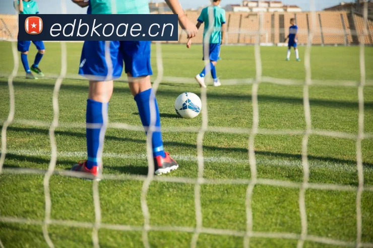 开云官方登录APP 体育赛事宣传图